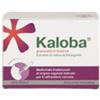 DR.WILLMAR SCHWABE GmbH&CO.KG Kaloba 21 Bustine