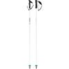 HEAD WORLDCUP REBELS CARBON POLE bastoncino sci