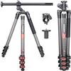 INNOREL Treppiede orizzontale in fibra di carbonio INNOREL YT284C con colonna centrale multi-angolo ruotabile Tubo da 29 mm per riprese digitali DSLR Video Camcorder Overhead Carico 20 kg