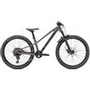 Specialized Specialized Riprock expert 24'' grigio