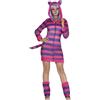 FIESTAS GUIRCA | Costume da Gatto Striato per Donna (42-44/L) - Vestito, Cappuccio, Coda e Scaldamuscoli - Costumi da Animali per World Book Day, Halloween, Carnevale e Feste in Maschera