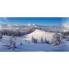 My Village Poster Foresta Invernale per Villaggio Natalizio e Presepe 150x75cm