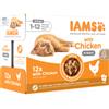 Iams Delights Kitten con pollo in salsa umido per gatto (12x85g) 12 x 85 g