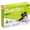 Candioli Dog Duecto Spot-On 10-20 kg - Confezione Da 4 Pipette