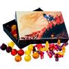 LYNX 15 Segnalini/Token Pozione Curativa DND Ogni Livello Ha Un Set Dadi D4 Abbinati per Tenerne Traccia e Tirare Facilmente Per Le Pozioni di D&D, Regalo per GDR/RPG/Dungeons and Dragons Accessori