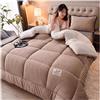 ZTGL Trapunta Invernale Imbottita 2-5kg Piumone Caldo Letto 2 Piazze, Coperta Plaid Sherpa Doppio Strato Morbida Matrimoniale Pile Vellutato MOD,E,220x240cm(5kg)