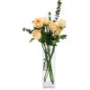 DRERIO Vaso Trasparente per Decorare Stanza, Moderni da Interno Design Rettangolare Vasi Unico per Decorazioni Casa per Arrangementi Floreali E Decorazione Domestica (25 x 8cm Vaso vetro)