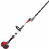 Efco DS 2410 H - Tagliasiepi a scoppio su asta di prolunga - Lama da 50 cm