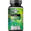 APOLLO'S HEGEMONY ALA (Acido Alfa Lipoico) 600 mg - 60 capsule vegane - Ottimizza la gestione del glucosio - Supporta la salute mitocondriale - Fornitura di due mesi - da Apollo's Hegemony