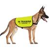 CENWA In Training Ignore - Giubbotto per cani in addestramento nervoso ansioso, con scritta in lingua inglese (TRAINING IGNORE L)