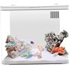 Liummrcy Serbello di pesce 1,3 galloni Kit di avviamento per acquario piccolo con filtro a 3 strati ＆ luce a LED, serbatoio di pesce desktop con di auto -pulizia per pesce betta, gamberi, pesce rosso,