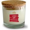 Cereria di Giorgio Candela in bicchiere 100% cera vegetale e vegana - Oli essenziali profumati Arancia e Cannella - Mangia odori - Odor Block - Durata 50 ore - Made in Italy - Cereria di Giorgio
