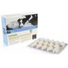 CAMON S.P.A. LEISTABS PROTECTION 60 COMPRESSE - NUOVA CONFEZIONE IM-MODULA 60 COMPRESSE