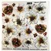 Pellicola Modellabile Christmas Rose Serie 6
