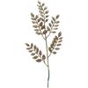 Sedum