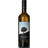 Le Macchiole Paleo Bianco 2022 - Formato: 75 cl