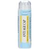 GUNA SpA Antiage cap granuli multidose 4 grammi
