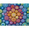 Ravensburger - Puzzle Arcobaleni Mandala, 2000 Pezzi, Idea regalo, per Lei o Lui, Puzzle Adulti
