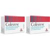 Colestene PharmaSuisse Colestene Compresse Integratore Alimentare 2x19,5 g