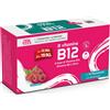 Sanavita b vitamins b12 15 flaconcini