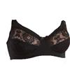 Coconuda 1 o 2 REGGISENI COCONUDA ART. PRIMULA, STRUTTURATO CON PIZZO E SENZA FERRETTO