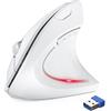 TechRise Mouse Verticale Wireless, 2.4G Mouse Ergonomico Wireless, 4800 DPI Ottico Mouse Senza Fili con Micro Ricevitore USB, 6 Pulsanti Mouse Silenzioso per PC Portatile, Computer, Mac, Bianco