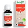 Pranarom Herbalgem Bio Cordiagem 30 Ml