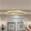 YYUTLUO Lampadario LED Moderno DIY Cerchio | 1 Oro Anelli :40cm=23W | Illuminazione A Sospensione LED In Metallo+Acrilico Telecomando Dimmerabile Lampada Sospensione Soffitto Rotondo Soggiorno