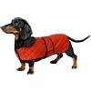 Geyecete - Cappotto Invernale termico trapuntato per cane bassotto,con fodera in pile caldo, abbigliamento per cani da esterno con foro per Imbracatura,Giacca per cani piccola y media-Arancione-M