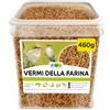 EWL Naturprodukte Vermi della Farina essiccati 460 g (3 L), Snack a base di Insetti per Uccelli, Pesci, Tartarughe, Roditori e Rettili