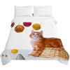 Surwin Trapuntino Copriletto Trapuntato Primaverile Estivo, Trapuntino in Morbida Microfibra Reversibile con Motivo Gatto 3D Leggero Coperta Letto Singolo/Matrimoniale (Gatto Arancione,200x230cm)