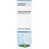 ERBA VITA ESTRATTI LIQUIDI Erba Vita Spaccapietra Tintura Idroalcolica 50 Ml