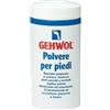 DUAL SANITALY SPA Gehwol Polvere Piedi Deodorante 100 G
