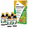 SALUS HAUS GMBH & CO KG Salus Salufrangol Integratore 5 Flaconcini 20 Ml