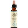 BACH Schwabe Pharma Italia Chicory Bach Orig 20 Ml