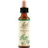 SCHWABE PHARMA ITALIA Schwabe Fiori Di Bach 33 Walnut Gocce 20 Ml