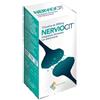 PLC PHARMA HEALTH SRL Plc Pharma Health Nerviocit 10 Bustine