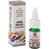 Lavanda Vera Olio Essenziale Naturale 10 Ml