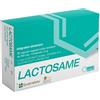 AMG FARMACEUTICI SRL Lactosame 30 Capsule