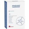 Pineans 30 Compresse