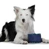 TOTTO - Abbeveratoio per Cani Portatile, Modello Vito, 3,79 L, 15 x 10 cm, Moschettone per Agganciare al Guinzaglio, Pieghevole con Chiusura a Cerniera, Resistente, Facile da Lavare, Stampa Ossa