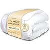 Wendre Piumone Invernale Una Piazza e Mezza 200x200 - 300 GSM con Struttura Interna Isolante - Caldo e Confortevole, Microfibra Anallergica, OEKO-TEX, Prodotto in Europa, Lavabile