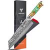 SANMUZUO 22 CM Coltello Kiritsuke Professionale - Forgiato 67 Strati Damasco in Acciaio e Resina Maniglia - Serie YAO