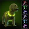 PcEoTllar Imbracatura luminosa per cani ricaricabile a LED, 7 colori, 9 modalità per cucciolo, cane piccolo e medio, lampeggiante, riflettente, confortevole, colore: nero (L)