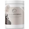 Annimally Polvere per le articolazioni dei cavalli 850g con artiglio del diavolo cavallo, MSM cavallo (Zolfo), Glucosamina e Condroitina - Msm integratore cavalli per il Rafforzamento delle Articolazi