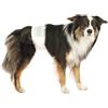 Trixie Pannolini a Fascia per Cani Maschi taglia XS da 12 pz