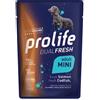 Prolife DualFresh per Cani Adult Mini da 100 gr Gusto Salmone e Merluzzo
