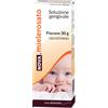nova argentia Nova mielerosato soluzione gengivale 30 g