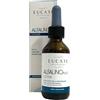eucare Alfauno plus lozione 100 ml