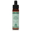 Air formula 10ml